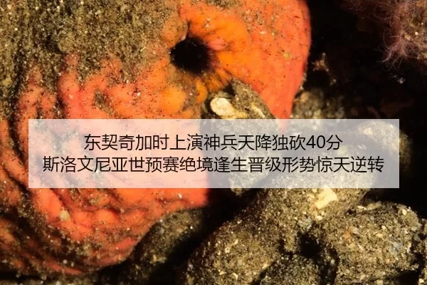 dong-qi-qi-jia-shi-shang-yan-shen-bing-tian-jiang-du-kan-fen-si-luo-wen-ni-ya-shi-yu-sai-jue-jing-feng-sheng-jin-ji-2-288.jpg